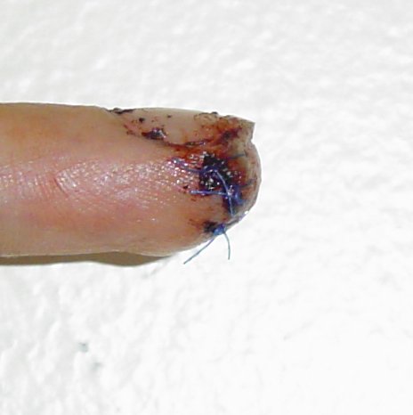 finger2-06-24