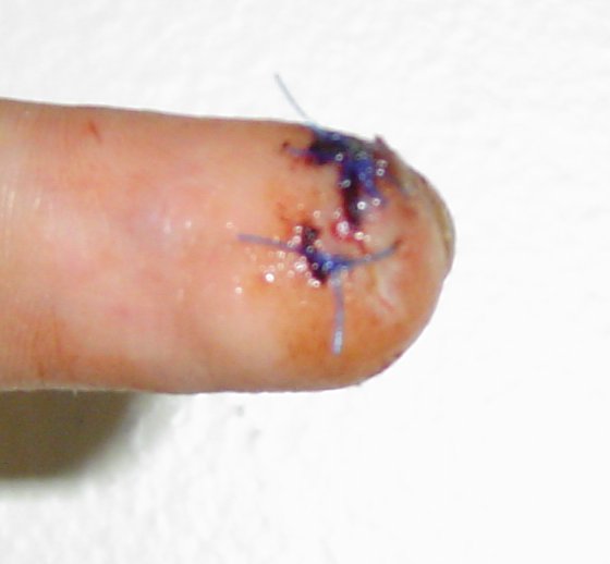 finger3-06-24